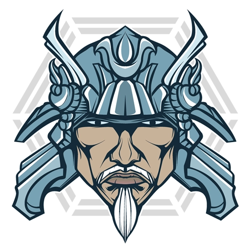 Shogun agency, agence email marketing